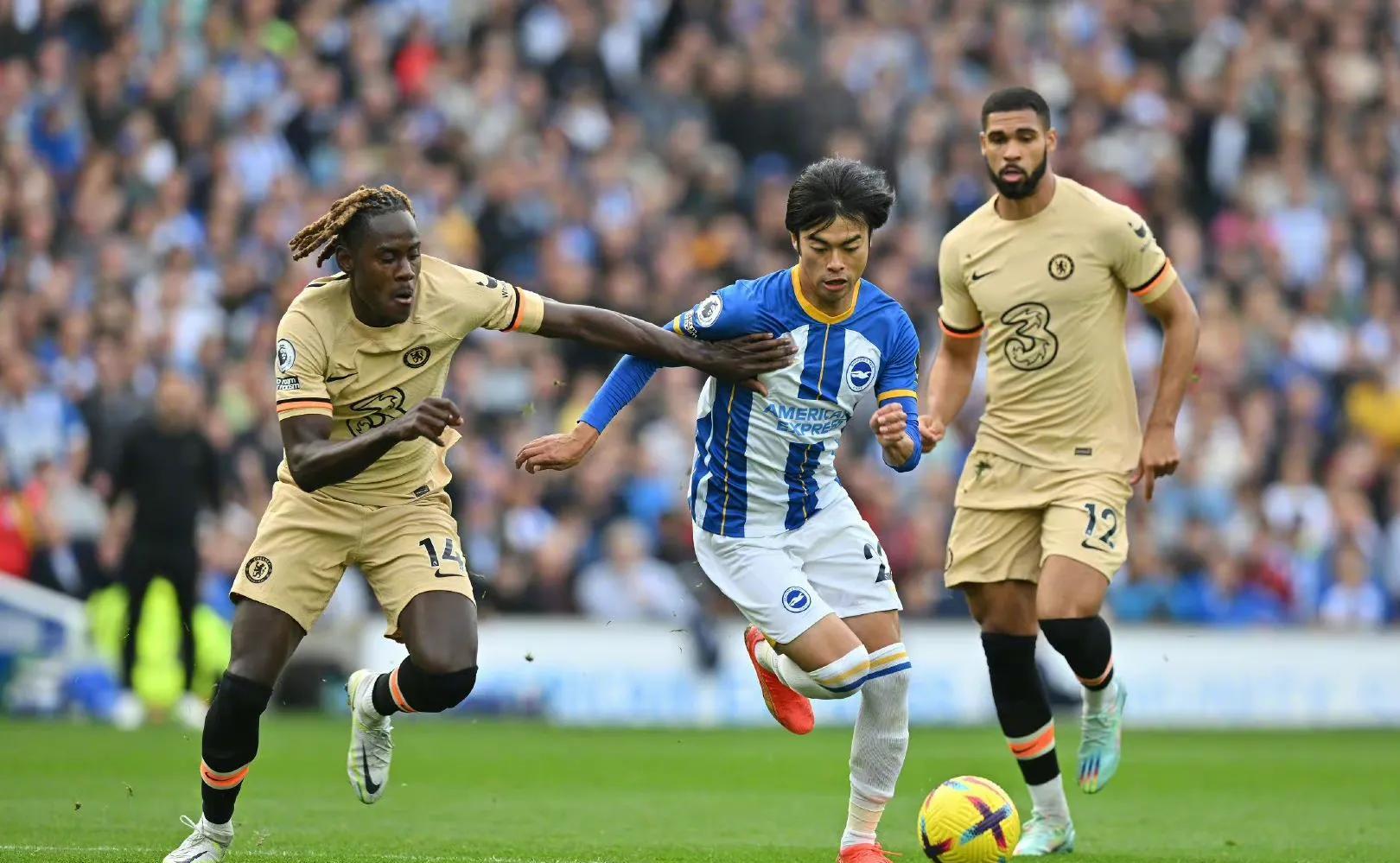 冲刺阶段布莱顿备战欧冠；强势反弹细节曝光；赛场秩序良好；医务组通报恢复的简单介绍-爱游戏中国