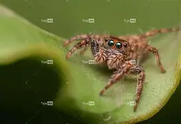 关于禛?w,R}韰0??W乮蜘IDf韻>玵?"飌??0的信息-爱游戏网页版